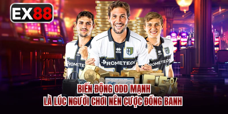 Biến động ODD mạnh là lúc người chơi nên cược đồng banh