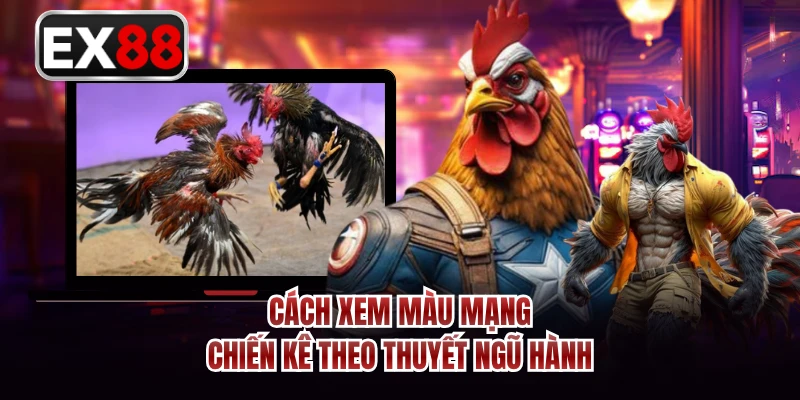 Cách xem màu mạng chiến kê theo thuyết ngũ hành