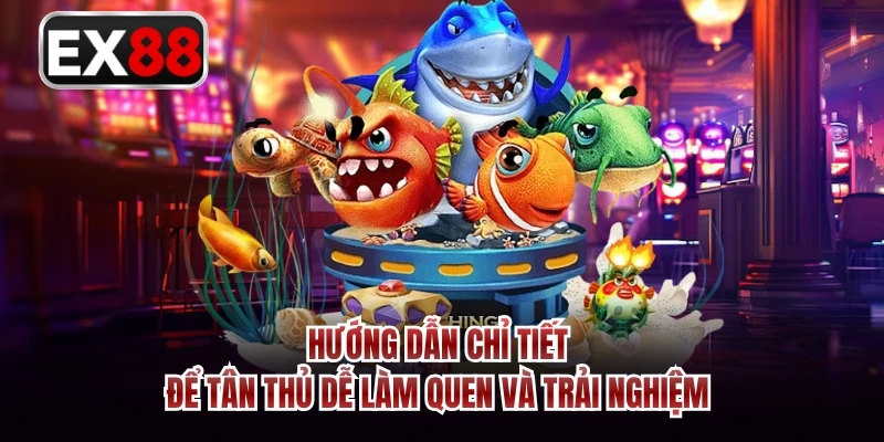 Hướng dẫn chỉ tiết để tân thủ dễ làm quen và trải nghiệm