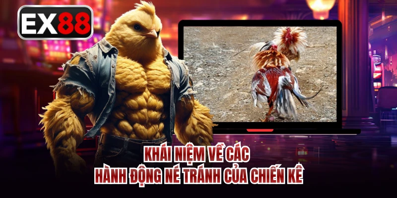 Khái niệm về các hành động né tránh của chiến kê