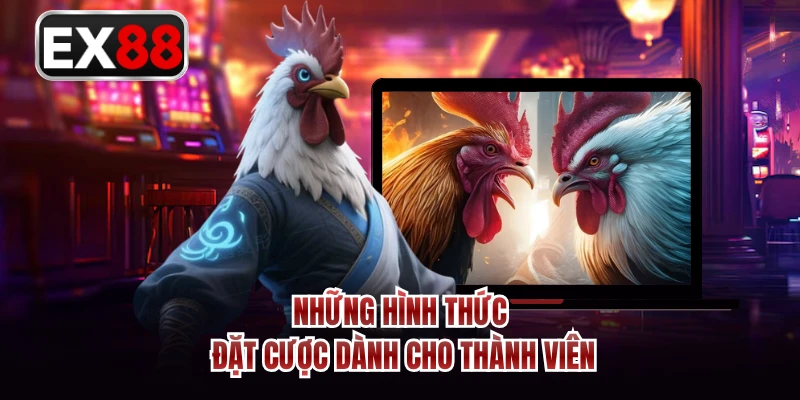 Những hình thức đặt cược dành cho thành viên