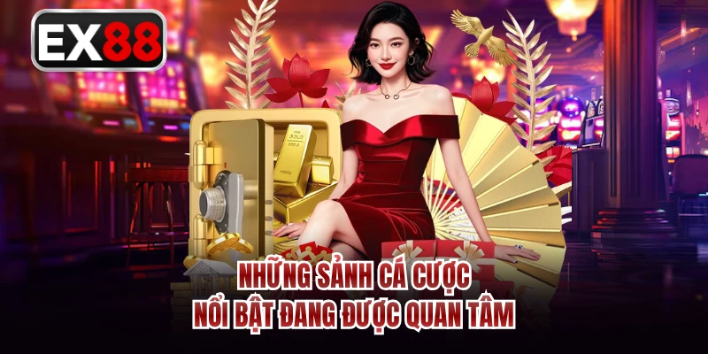Những sảnh cá cược nổi bật đang được quan tâm 